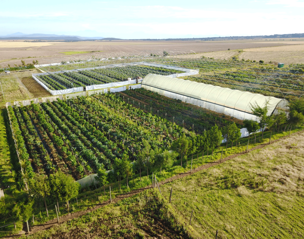 Aerial view of Tamalu farm