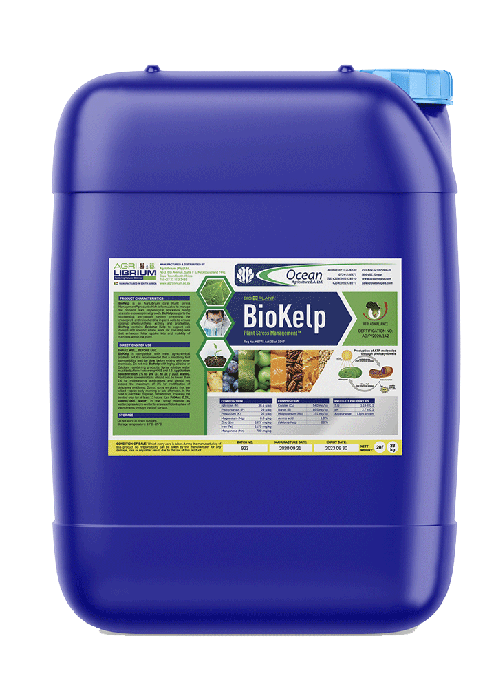 BioKelp
