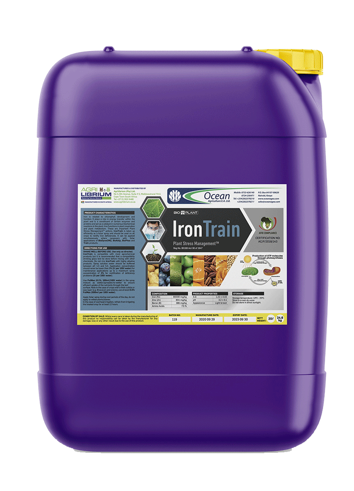 Iron Train