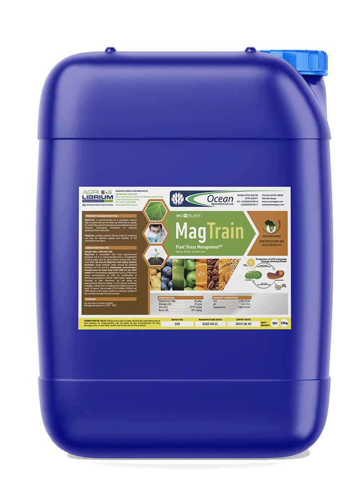 Mag Train