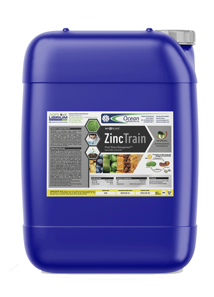 Zinc Train